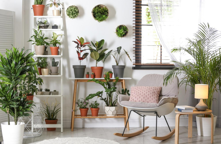 Comment rénover, meubler et décorer sa maison ou son appartement dans le respect de l’environnement? crédit photo : Shutterstock