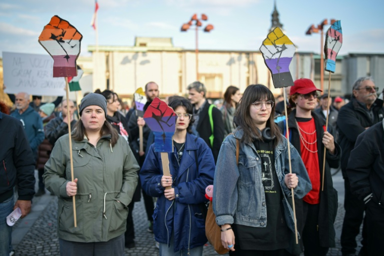 Rassemblement contre l'abstention à Ljubljana, le 20 mars 2026 ( AFP / Jure Makovec )