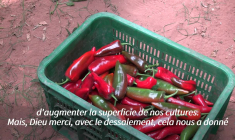 L'eau dessalée au secours de l'agriculture dans le sud du Maroc