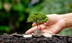 Pourquoi investir dans une forêt ? / iStock.com - arthon meekodong