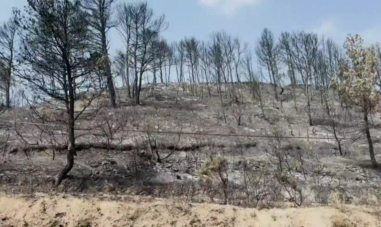 Incendie dans l'Aude: des villages entourés d'une végétation noircie