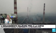 COP26 : 80 pays s'engagent pour réduire la déforestation et le méthane