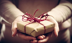 PHOTOCREO Michal Bednarek/Shutterstock / PHOTOCREO Michal Bednarek