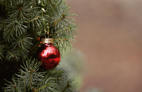 De nombreuses municipalités mettent en place des points de collecte après les fêtes pour collecter les vieux sapins de Noël. (Illustration) (TanteTati / Pixabay)