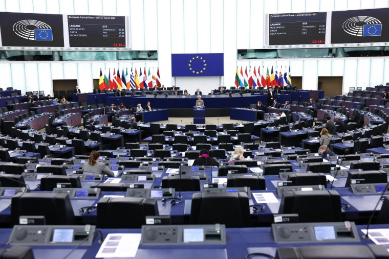 ( AFP / FREDERICK FLORIN )