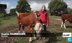 Des fermes et des champs "zéro plastique", est-ce possible ?