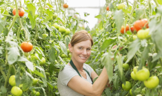 Réduire son IR en investissant dans une PME-iStock-Caiaimage/Martin Barraud