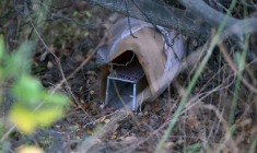 Une cage déposée pour piégéer des rongeurs dans diverses zones boisées autour de la ville touristique d'Ushuaïa, dont le Parc national de la Terre de Feu, le 18 mai 2026 ( AFP / JUAN MABROMATA )
