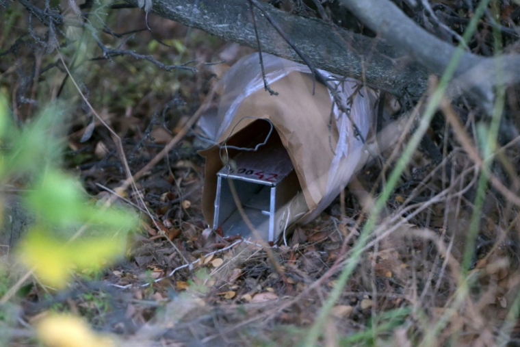 Une cage déposée pour piégéer des rongeurs dans diverses zones boisées autour de la ville touristique d'Ushuaïa, dont le Parc national de la Terre de Feu, le 18 mai 2026 ( AFP / JUAN MABROMATA )