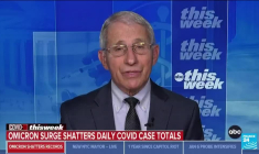 Covid-19 : record mondial de plus d'un million de cas rapportés lundi aux Etats-Unis