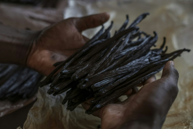 Des gousses de vanille à L'Atelier Vanilla à São Tomé, capitale de São Tomé-et-Principe, le 7 août 2026 ( AFP / Daniel BELOUMOU OLOMO )