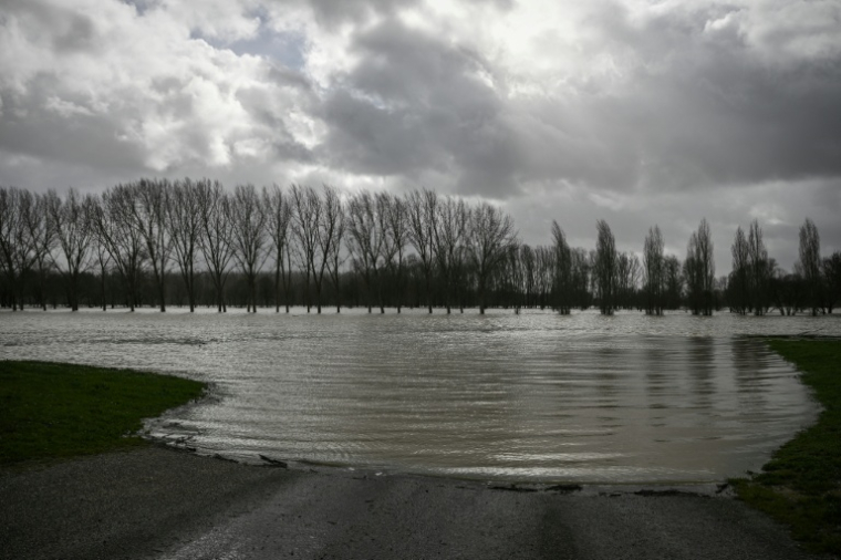 Vers Marmande, la crue a transformé un parc en immense étendue d'eau, le 12 février 2026 ( AFP / Philippe LOPEZ )