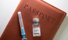 UNION EUROPEENNE: ACCORD SUR UN CERTIFICAT SANITAIRE POUR LES VACANCES CET ÉTÉ