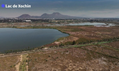 Au Mexique, une ONG utilise des cheveux pour aider à préserver des îles agricoles