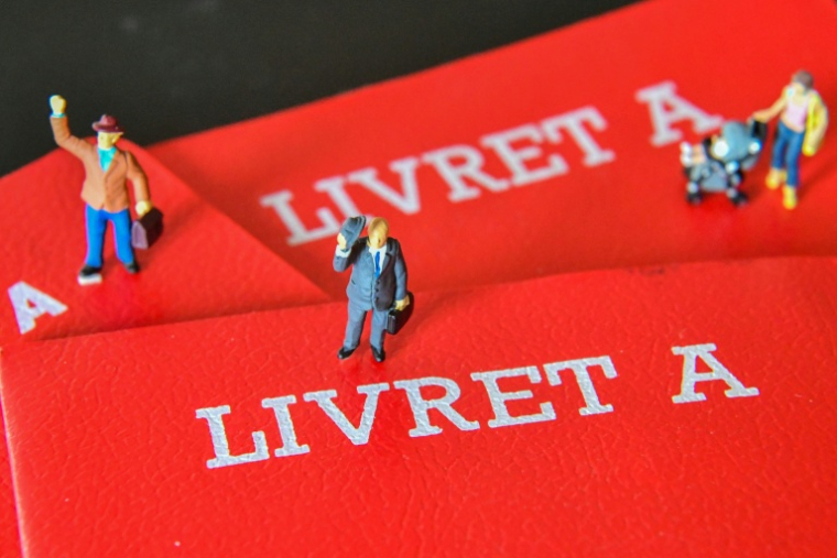 Les projets d'énergies renouvelables (ENR) de grande dimension dont le coût de production est le plus compétitif, pourraient être financés par le Livret A ( AFP / DENIS CHARLET )