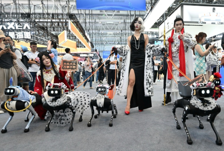 Des robots chiens de l'entreprise Vbot présentés au Salon mondial des robots à Pékin, le 19 août 2026 ( AFP / ADEK BERRY )