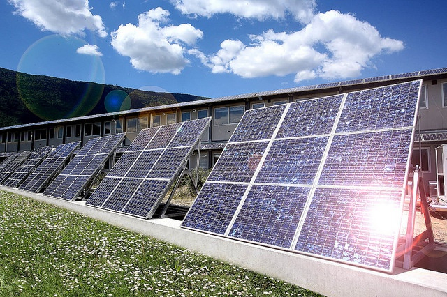 Malgré le retrait des USA de l'accord de Paris, les obligations vertes ont la cote sur les marchés