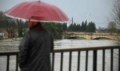 Un passant observe le débordement de l'Aude après des fortes pluies à Coursan, le 19 janvier 2026 dans l'Aude ( AFP / Lionel BONAVENTURE )