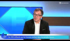 Ces 300 milliards que les français cachent dans les paradis fiscaux...
