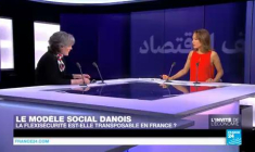 "Flexisécurité" : le modèle danois est-il transposable en France ?