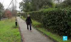 Une PAC plus soucieuse du bien-être animal ?