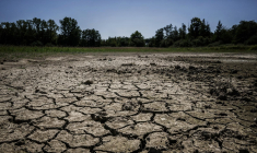 Le plateau de la Dombes, le 11 août 2023. ( AFP / JEFF PACHOUD )
