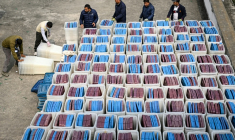 Des responsables électoraux inspectent les urnes avant leur expédition depuis les bureaux de la Commission électorale à Katmandou, avant les élections législatives, le 9 février 2026 au Népal ( AFP / Prakash MATHEMA )