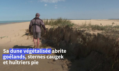 Au large de la dune du Pilat, le Banc d'Arguin en péril