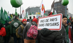 Des agriculteurs européens manifestent devant le Parlement européen contre l'accord de libre-échange entre l'UE et les pays du Mercosur le 20 janvier 2026 à Strasbourg ( AFP / NICOLAS TUCAT )