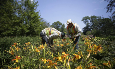 ( GETTY IMAGES NORTH AMERICA / JOSHUA LOTT )