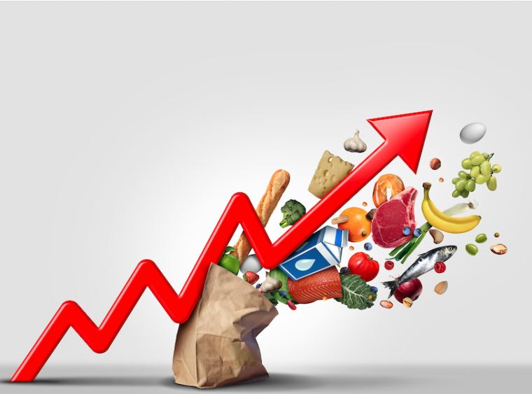 (Crédits: ©  freshidea - stock.adobe.com)