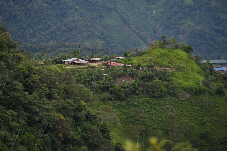 Cette vue montre la Vereda Tuma Drua, dans la réserve unifiée Embera Chami Rio San Juan, à Pueblo Rico, département de Risaralda, en Colombie, le 9 avril 2026 ( AFP / Diana SANCHEZ )