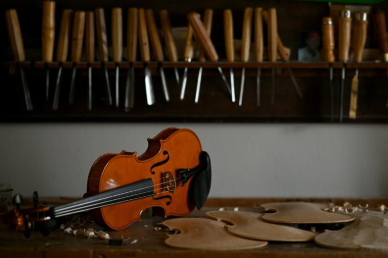 "Les violons un peu aigus, ça fait un peu mal à tout le monde" ( AFP / GABRIEL BOUYS )