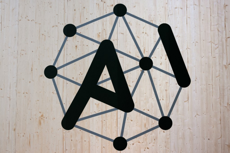 ( AFP / JOEL SAGET )