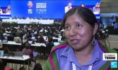 L'échec cuisant de la COP16 biodiversité consacre la fracture nord-sud