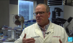 Les feux de forêt au Canada ont des conséquences sur la qualité de l'air