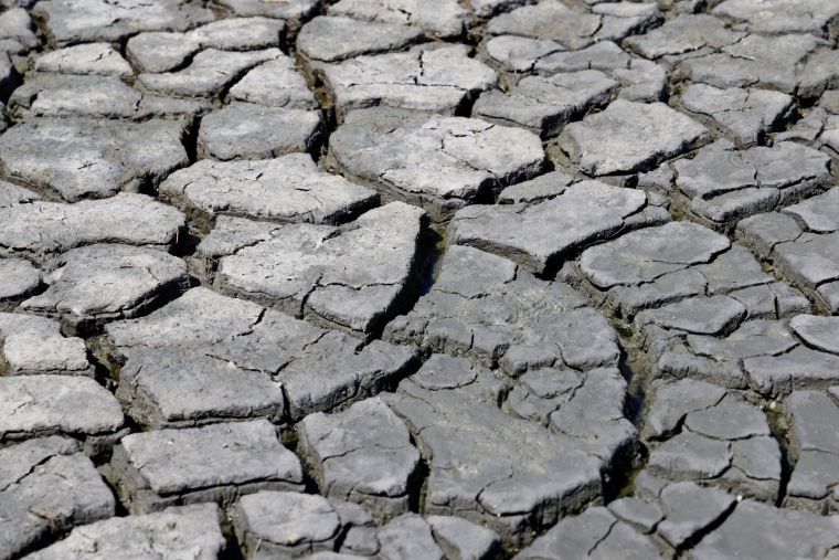 Cette année pourrait en effet dépasser les 2,12 milliards d'euros enregistrés en 2003, pire année sur le plan de la sécheresse depuis la création du régime "Catastrophes naturelles" en 1982. ( AFP / LUDOVIC MARIN )