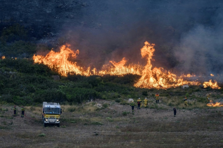 Des pompiers s'emploient à éteindre un feu de forêt dans le massif des Corbières, près de Saint-André-de-Roquelongue, dans le sud-ouest de la France, le 6 août 2026 ( AFP / Idriss Bigou-Gilles )