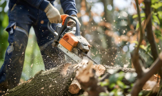 Tout savoir sur l’obligation légale de débroussaillement / iStock.com - Gartenbau-org