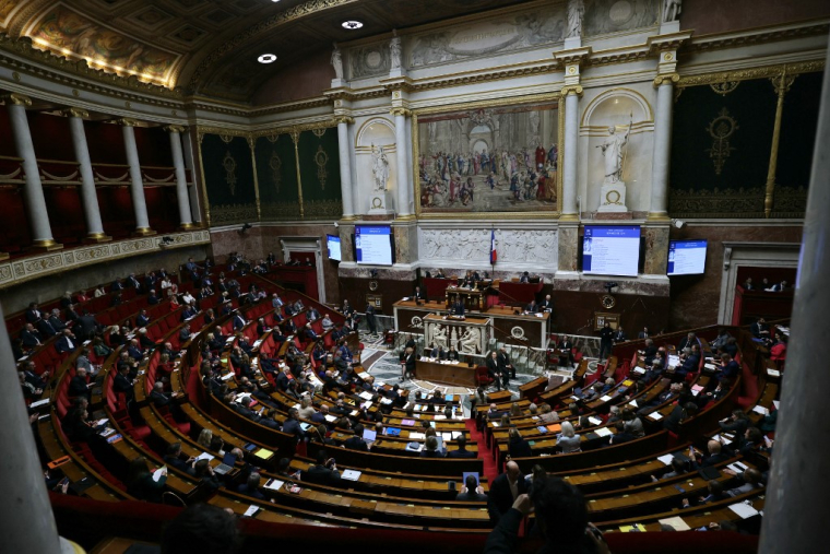 ( AFP / THOMAS SAMSON )