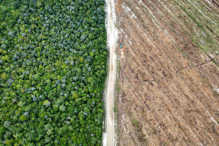 Vue aérienne de la forêt tropicale (g) et d'un terrain rasé pour des plantations (d) à Lahei Mangkutup, dans la régence de Kapuas du Kalimantan central, le 11 février 2026 en Indonésie ( AFP / SATYA ADHI )