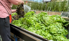 ( AFP / DENIS CHARLET )