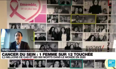 Cancer du sein : un possible lien entre la pollution atmosphérique et la maladie