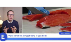 Voici comment investir dans le saumon !