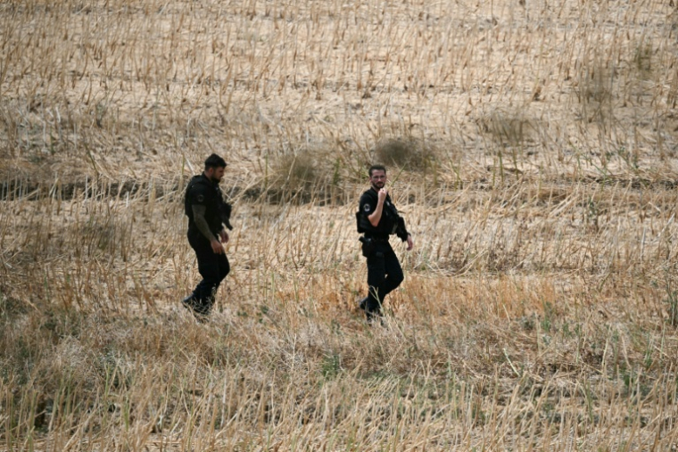 Des gendarmes dans un champ près du site où sont menées des recherches pour retrouver le corps de Delphine Aussaguel, le 16 juillet 2026 à Villenue-sur-Vère, dans le Tarn ( AFP / Lionel BONAVENTURE )