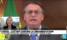 COP26 : la déforestation de l'Amazonie a son plus haut niveau depuis 2010