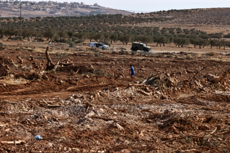 Un jeune Palestinien marche dans un champ, dont les oliviers ont été abattus, en Cisjordanie occupée le 24 août 2025 à al-Mughayer, près de Ramallah ( AFP / Zain JAAFAR )
