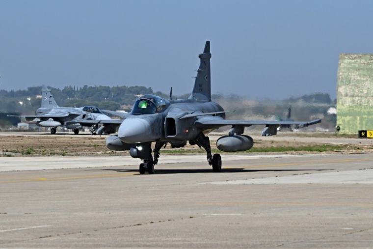 Prague has been using Gripen one- and two-seaters made by Sweden's Saab since 2005 ( AFP / Andreas SOLARO )