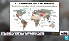 L'année 2024 sera la première à dépasser 1,5°C de réchauffement planétaire