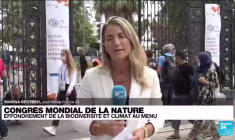 Congrès mondial de la nature : effondrement de la biodiversité et climat au menu